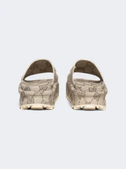 Gucci Sandal Beige And Ebony