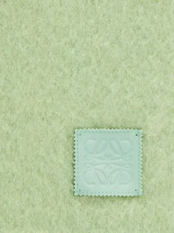 Loewe Scarf In Wool And Mohair Light Turquoise