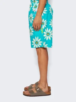 Barrow Unisex Popeline Shorts Multicolor
