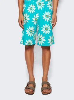 Barrow Unisex Popeline Shorts Multicolor
